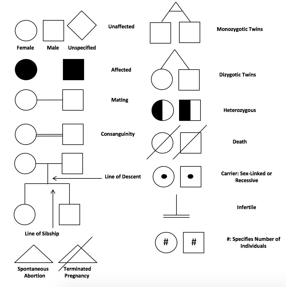 In Autosomal Dominant Inheritance Cgi Photoid Telegraph